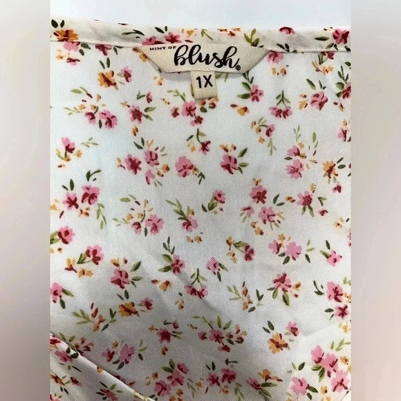 Hint of Blush Roses and Ruffles Dress Size 1X - Picture 4 of 5